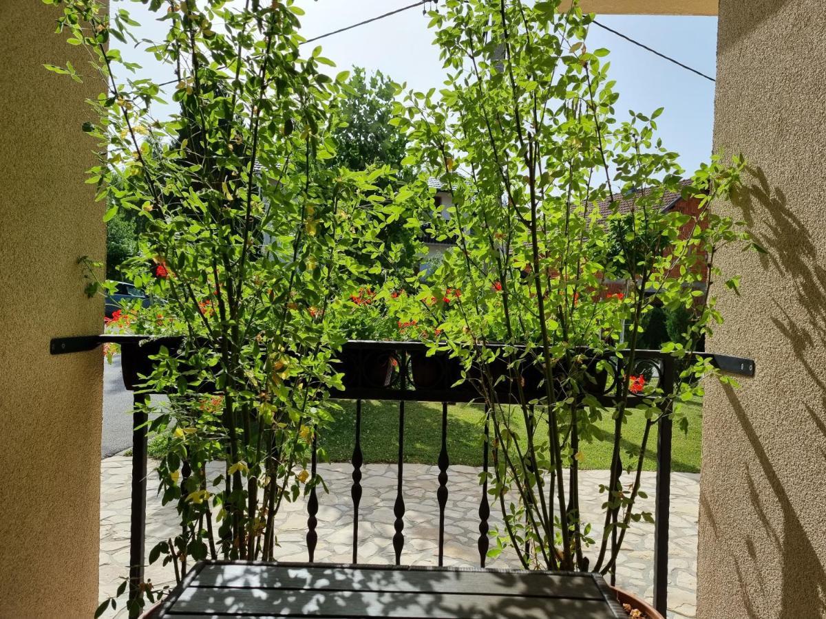 Zrinka House Hotel Grabovac  Room photo